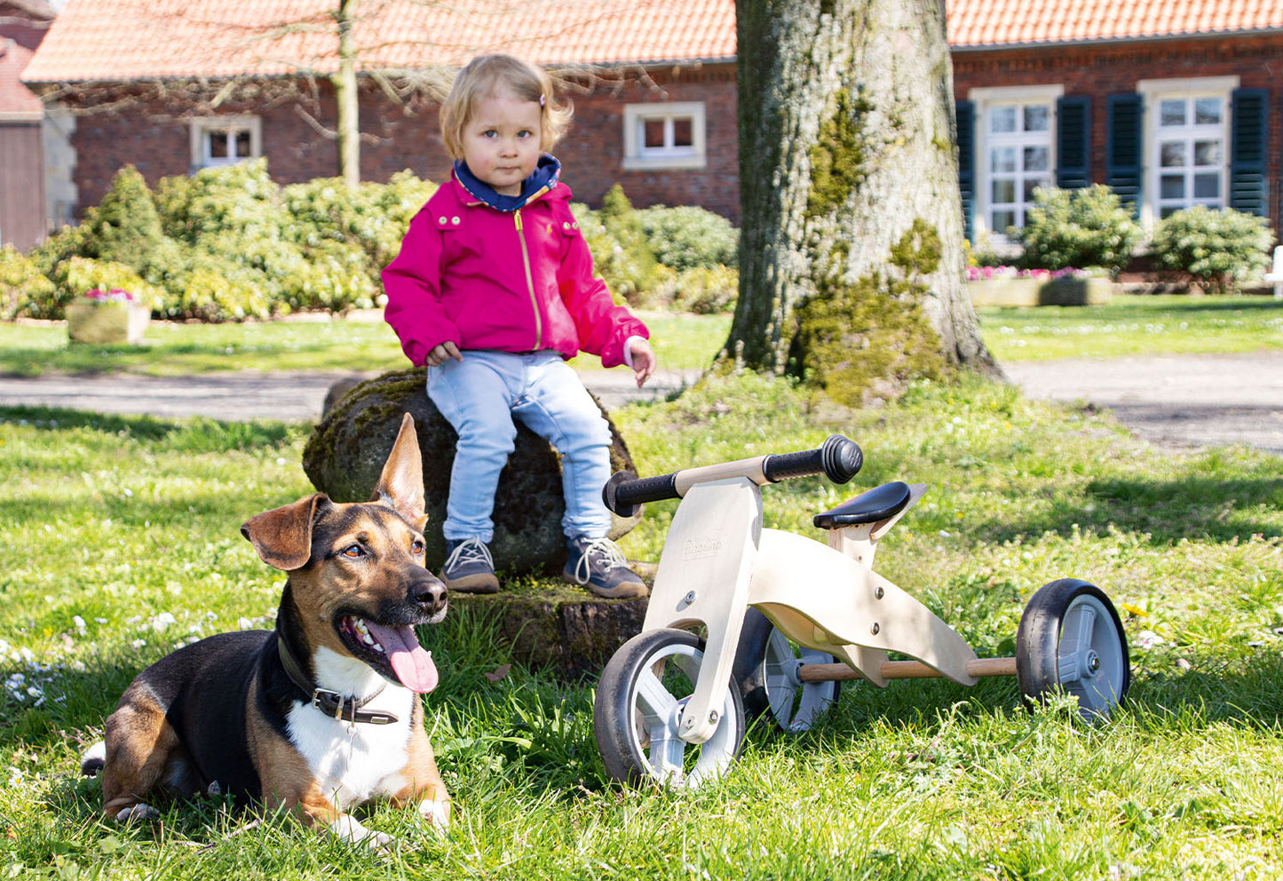 Tricycle évolutif "Charlie"