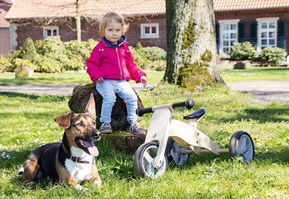 Tricycle évolutif "Charlie"