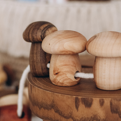 Jeu de laçage "champignon" en bois ODEAS