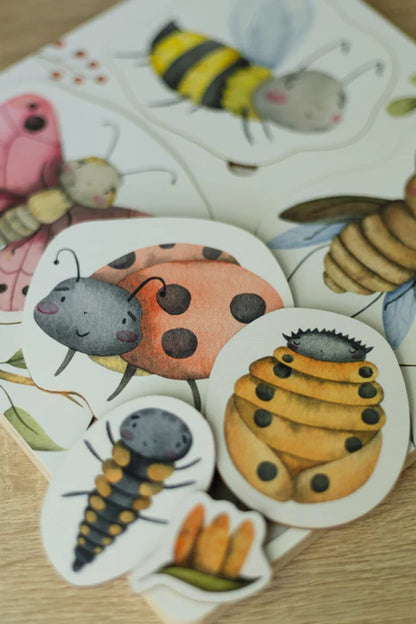 Puzzle en bois: Le cycle de vie des insectes ODEAS