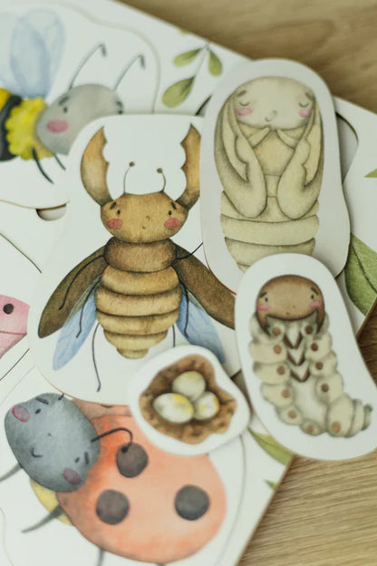 Puzzle en bois: Le cycle de vie des insectes ODEAS