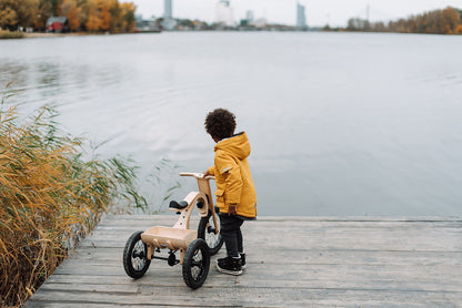 LEG &amp; GO balance bike tricycle