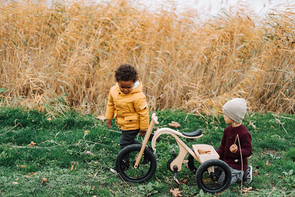 LEG &amp; GO balance bike tricycle