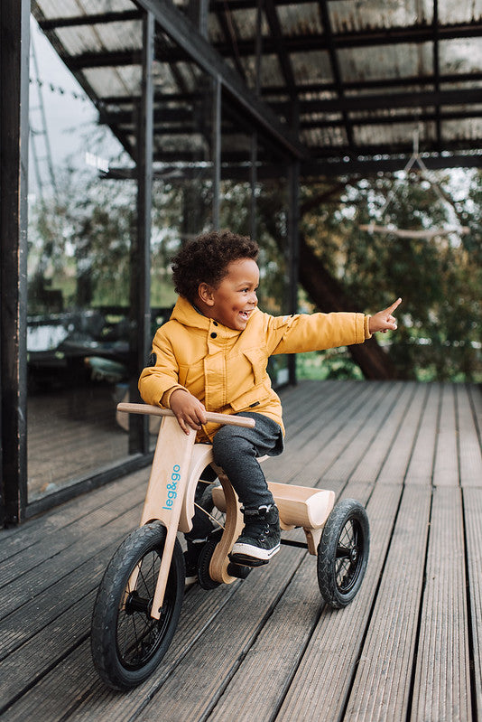 LEG &amp; GO balance bike tricycle