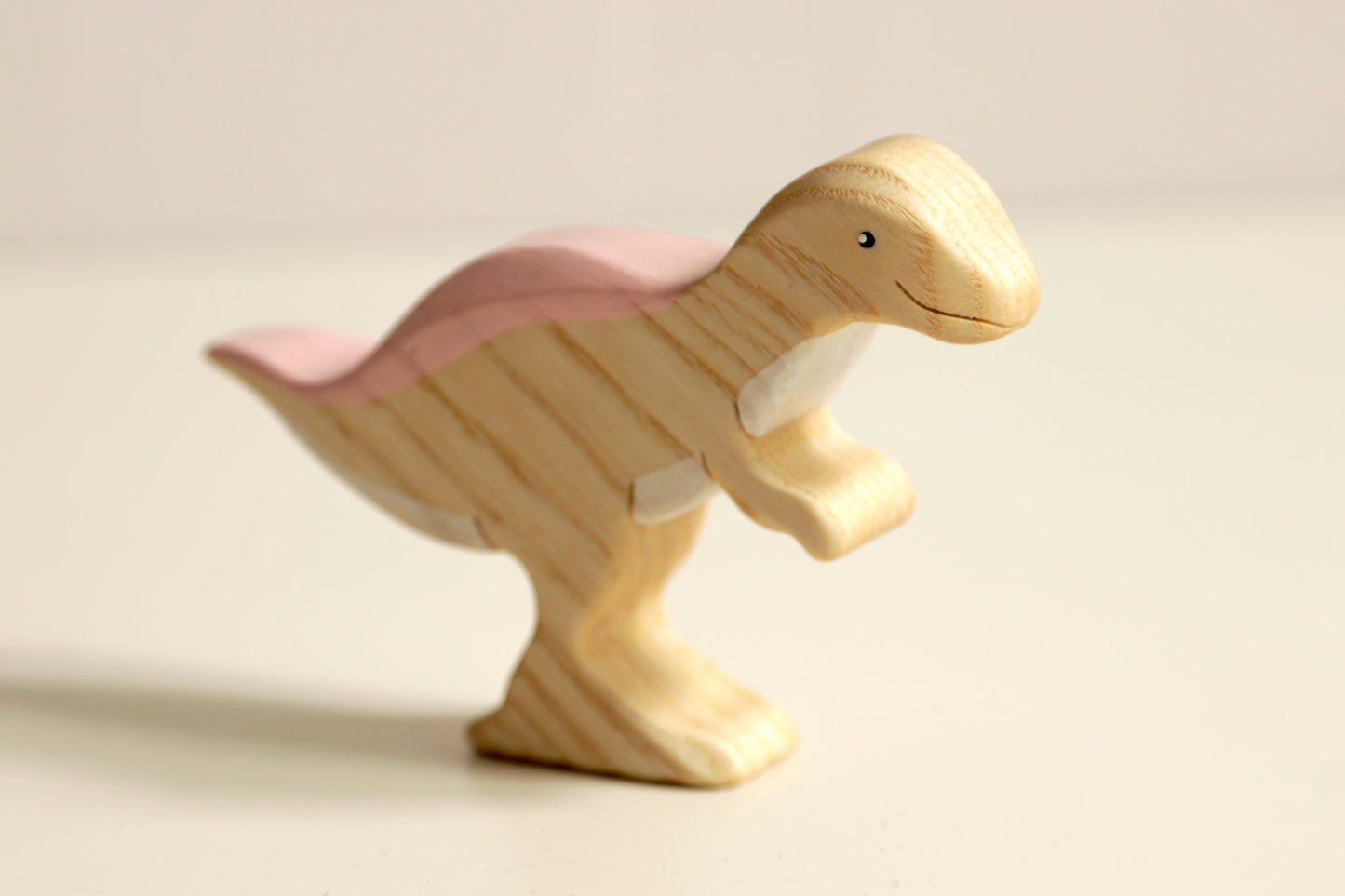 Ensemble de dinosaures WOOD CARE