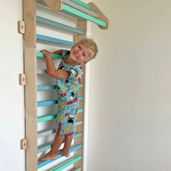 Mur d'escalade " Maxi " BUSYKIDS